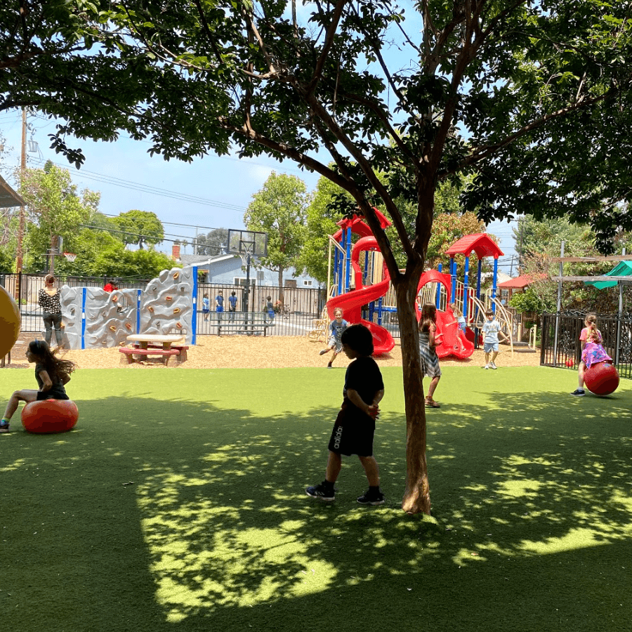 Outdoor playground at Montessori Greenhouse